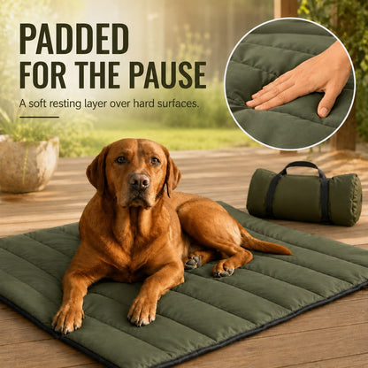Roll-Up Dog Travel Mat – Off Damp, Dirty Ground