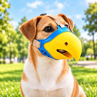 Blue/Yellow