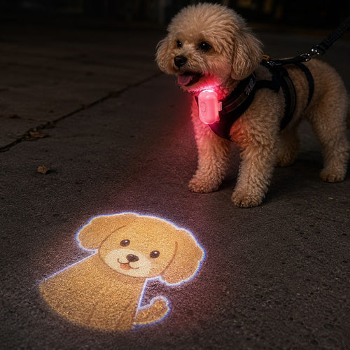 Breed Projector Dog Light – Night Walk Visibility