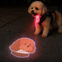 Poodle
