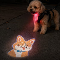 Corgi