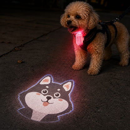 Breed Projector Dog Light – Night Walk Visibility