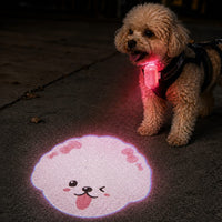 Bichon Frise