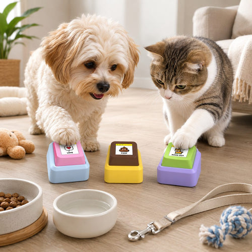 Recordable Pet Talking Buttons – Teach Your Pet to Ask