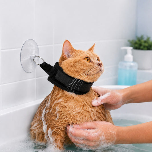 Suction Cup Pet Bath Restraint – Hands-Free, No Escapes