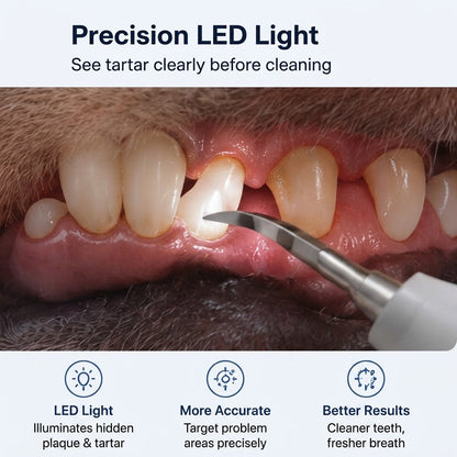 Ultrasonic Pet Dental Cleaner – Fresher Breath at Home