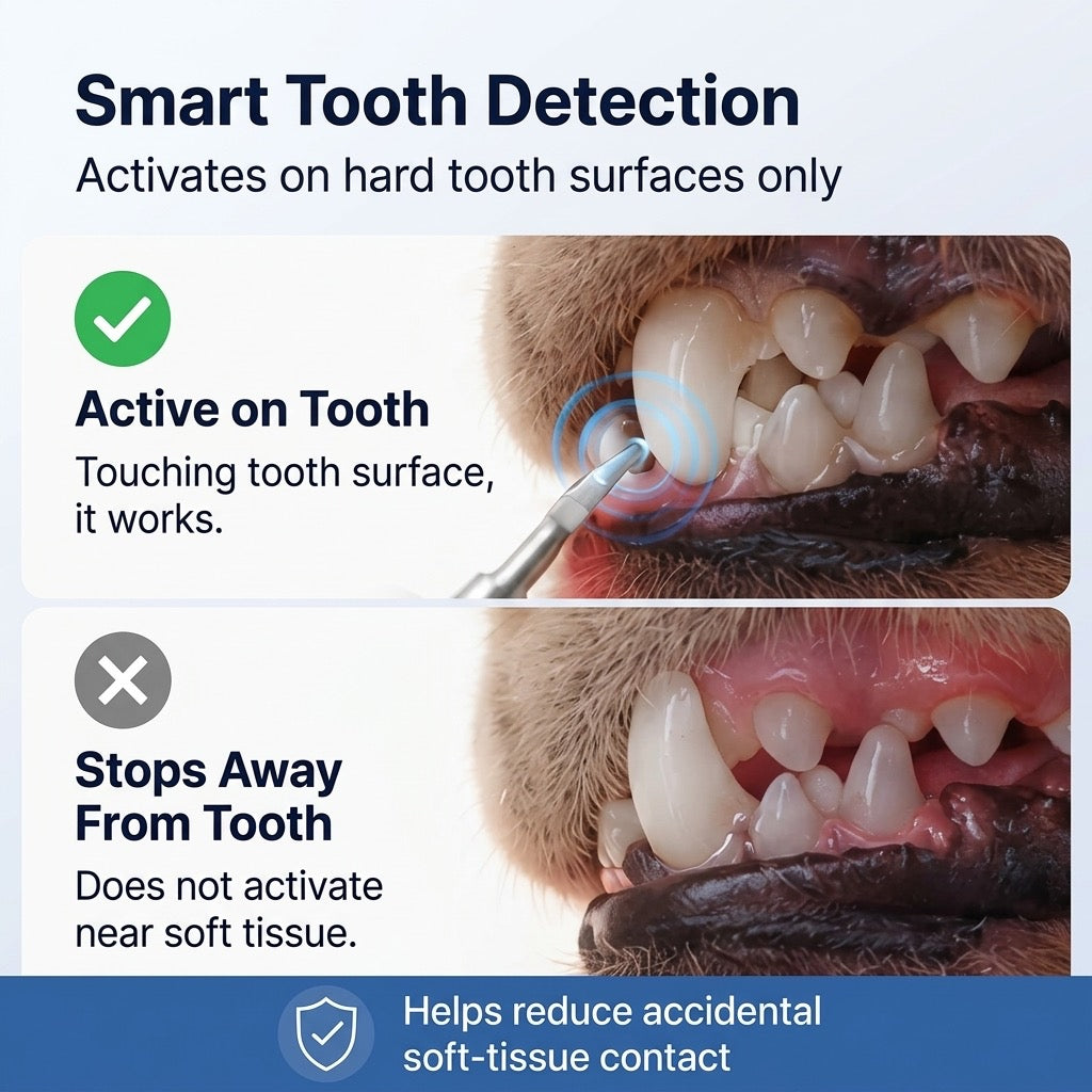 Ultrasonic Pet Dental Cleaner – Fresher Breath at Home