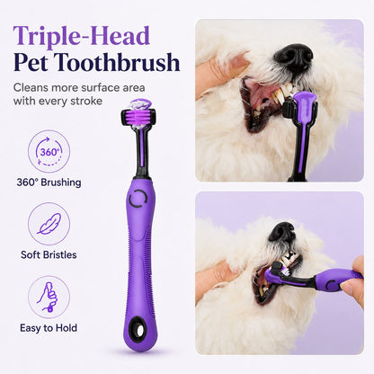 9-Piece Pet Grooming Kit – Shedding, Nails & Detangling