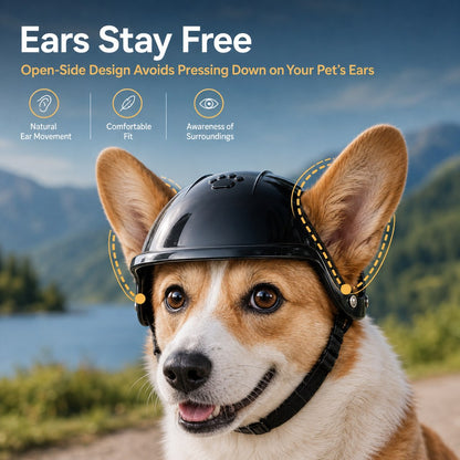 Lightweight Pet Helmet – Open-Ear Head Guard