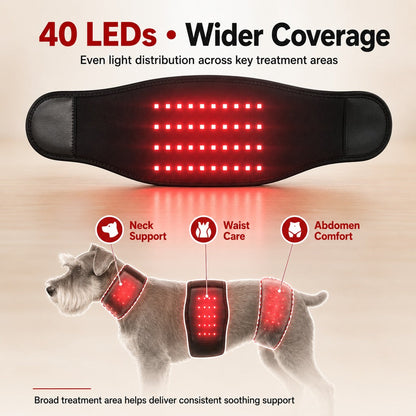 Red Light Pet Belt – Neck & Body Comfort