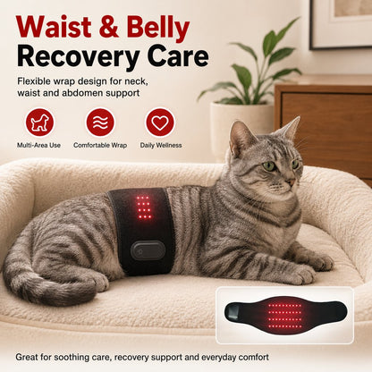 Red Light Pet Belt – Neck & Body Comfort