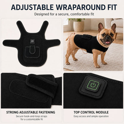 Red Light Pet Vest – Back, Hip & Joint Comfort