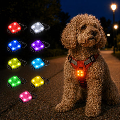 Clip-On Pet Safety Light – Stay Visible After Dark
