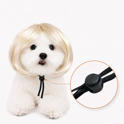 Funny Bob Pet Wig – Easy Costume Photo Prop