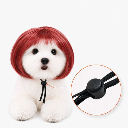 Funny Bob Pet Wig – Easy Costume Photo Prop