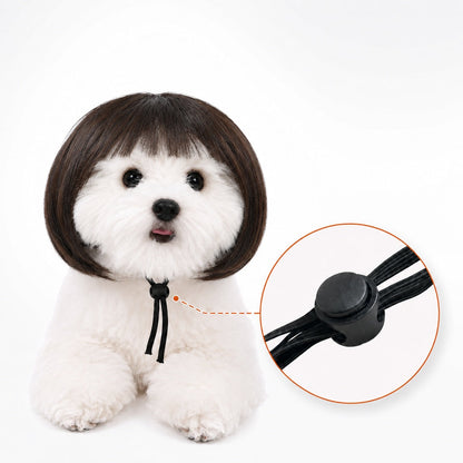 Funny Bob Pet Wig – Easy Costume Photo Prop