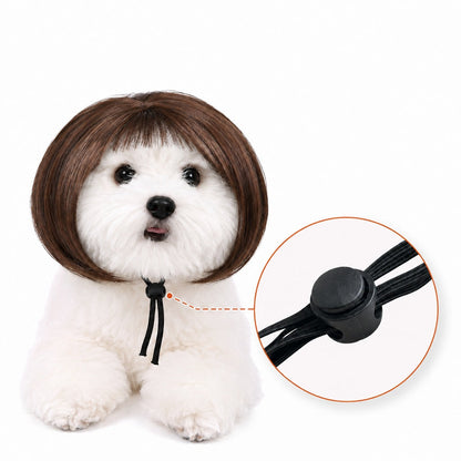 Funny Bob Pet Wig – Easy Costume Photo Prop