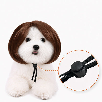 Funny Bob Pet Wig – Easy Costume Photo Prop