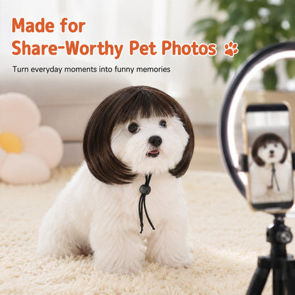 Funny Bob Pet Wig – Easy Costume Photo Prop