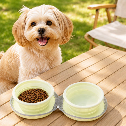 2-in-1 Collapsible Travel Bowl – Feed & Hydrate Anywhere