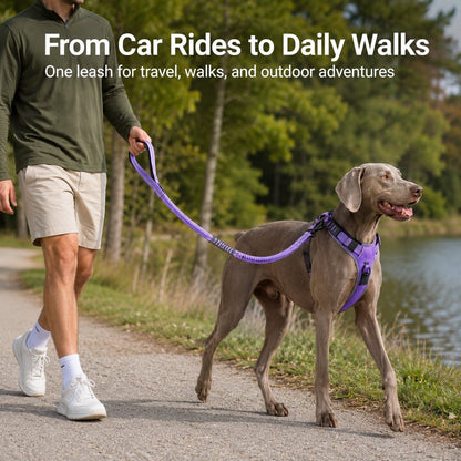 Dog Car Seat Belt Leash – Shock-Absorbing Safety