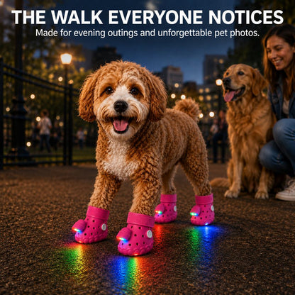 Step-Activated RGB Dog Boots – Light-Up Night Walks