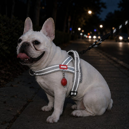 No-Choke Frenchie Harness & Leash Set – Reflective Control