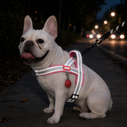 No-Choke Frenchie Harness & Leash Set – Reflective Control