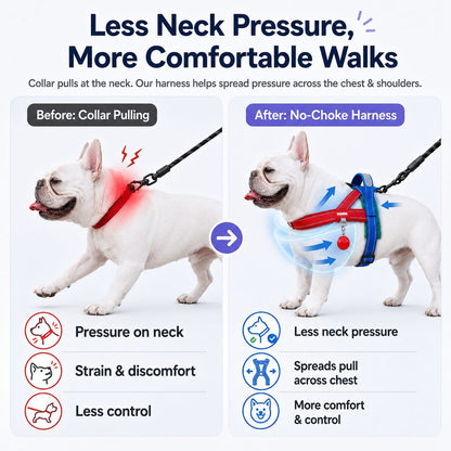 No-Choke Frenchie Harness & Leash Set – Reflective Control