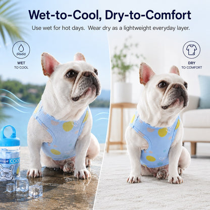 Frenchie Cooling Vest – Cooler Hot Summer Walks