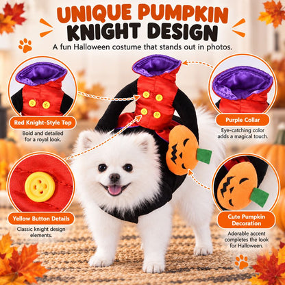 Pumpkin Knight Dog Costume – Rider Style Halloween