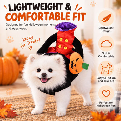 Pumpkin Knight Dog Costume – Rider Style Halloween