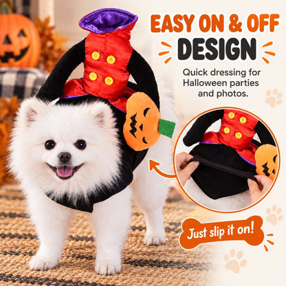 Pumpkin Knight Dog Costume – Rider Style Halloween