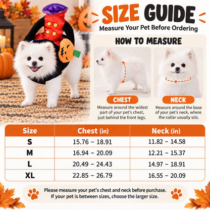 Pumpkin Knight Dog Costume – Rider Style Halloween