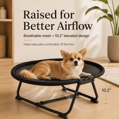 Foldable Elevated Pet Cot – Breathable Raised Bed
