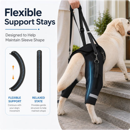 Senior Dog Rear Support Harness – Easier Stairs & Car Rides