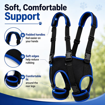 Rear Leg Support Sling – Lift Assist for Senior Dogs
