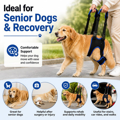 Rear Leg Support Sling – Lift Assist for Senior Dogs