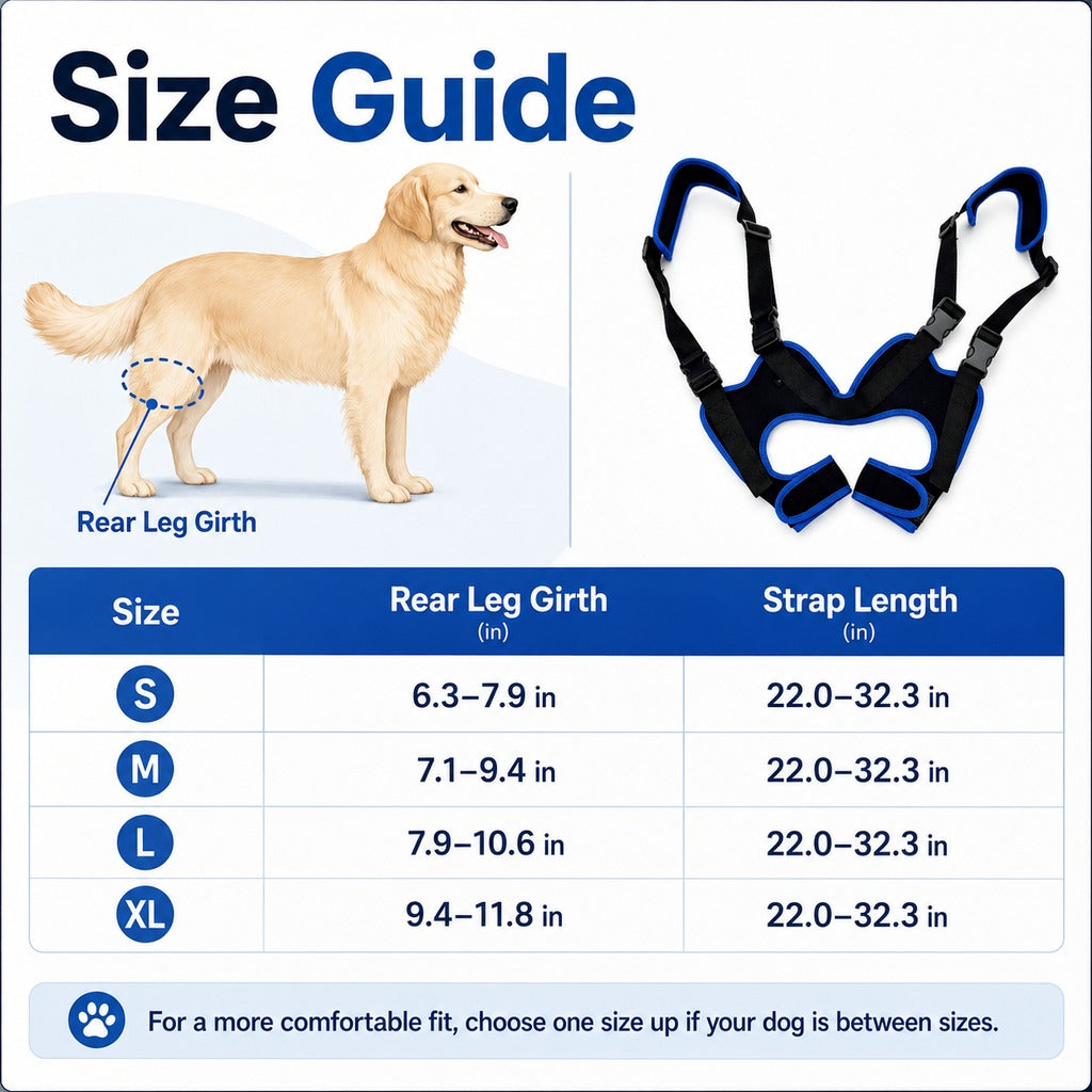 Rear Leg Support Sling – Lift Assist for Senior Dogs