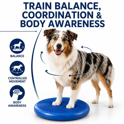 Inflatable Dog Balance Disc – Home Balance Training