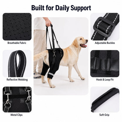 Senior Dog Rear Support Harness – Easier Stairs & Car Rides