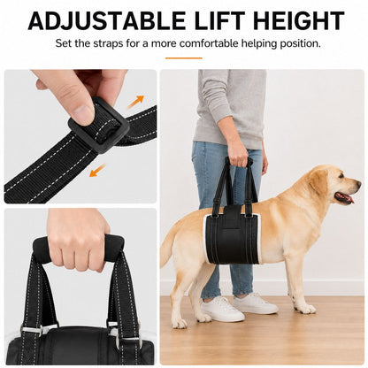 Rear Support Dog Lift Sling – Easier Stairs & Cars