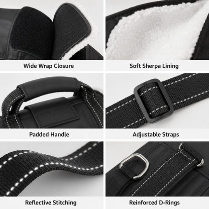 Rear Support Dog Lift Sling – Easier Stairs & Cars