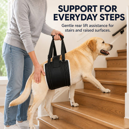 Rear Support Dog Lift Sling – Easier Stairs & Cars