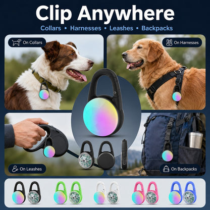 Clip-On LED Dog Safety Light – Rechargeable Night Glow