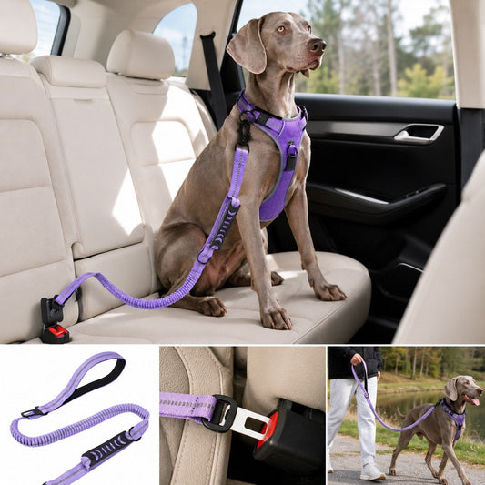 Dog Car Seat Belt Leash – Shock-Absorbing Safety
