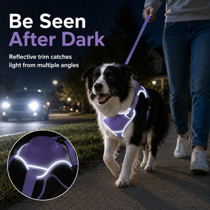No-Pull Harness with Built-In Leash – Reflective & Safe
