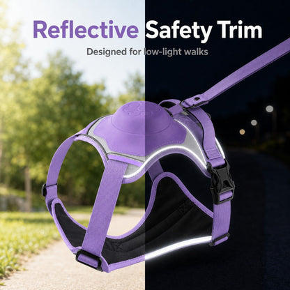 No-Pull Harness with Built-In Leash – Reflective & Safe
