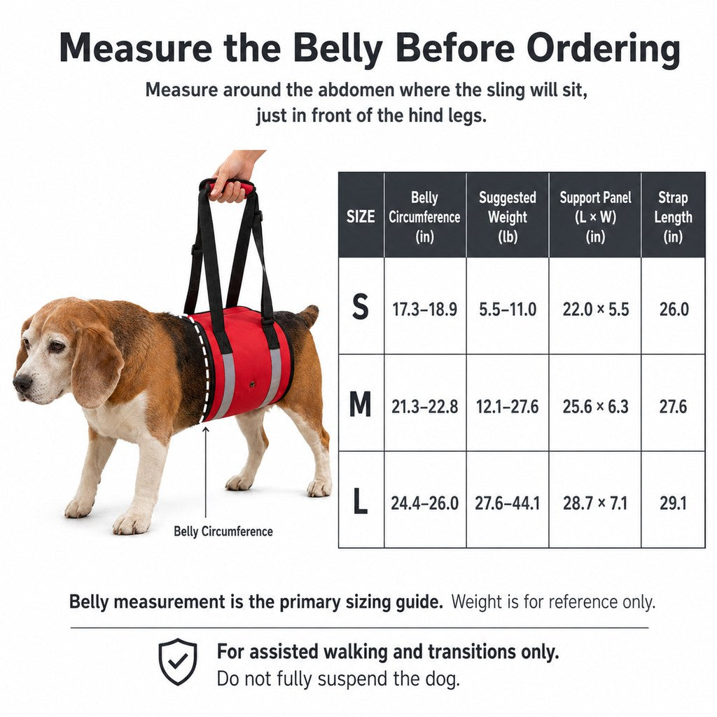 Reflective Dog Lift Sling – Belly Support for Mobility
