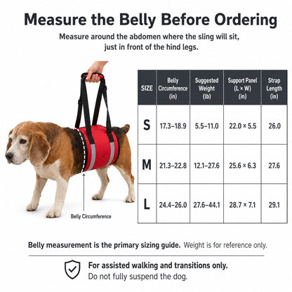 Reflective Dog Lift Sling – Belly Support for Mobility
